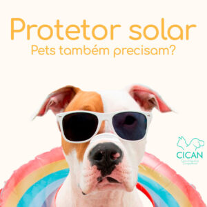 Blog - Protetor solar - Pets também precisam? - Cican - Centro Integrado de Cirurgia Animal