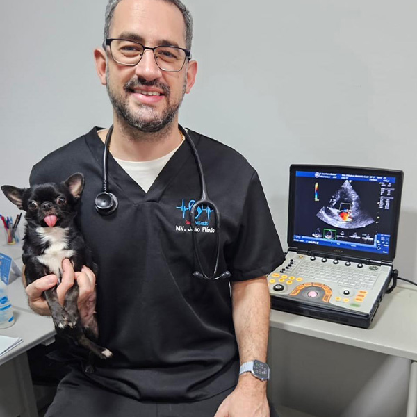Exames para Cães e Gatos em Londrina - Cican - Centro Integrado de Cirurgia Animal